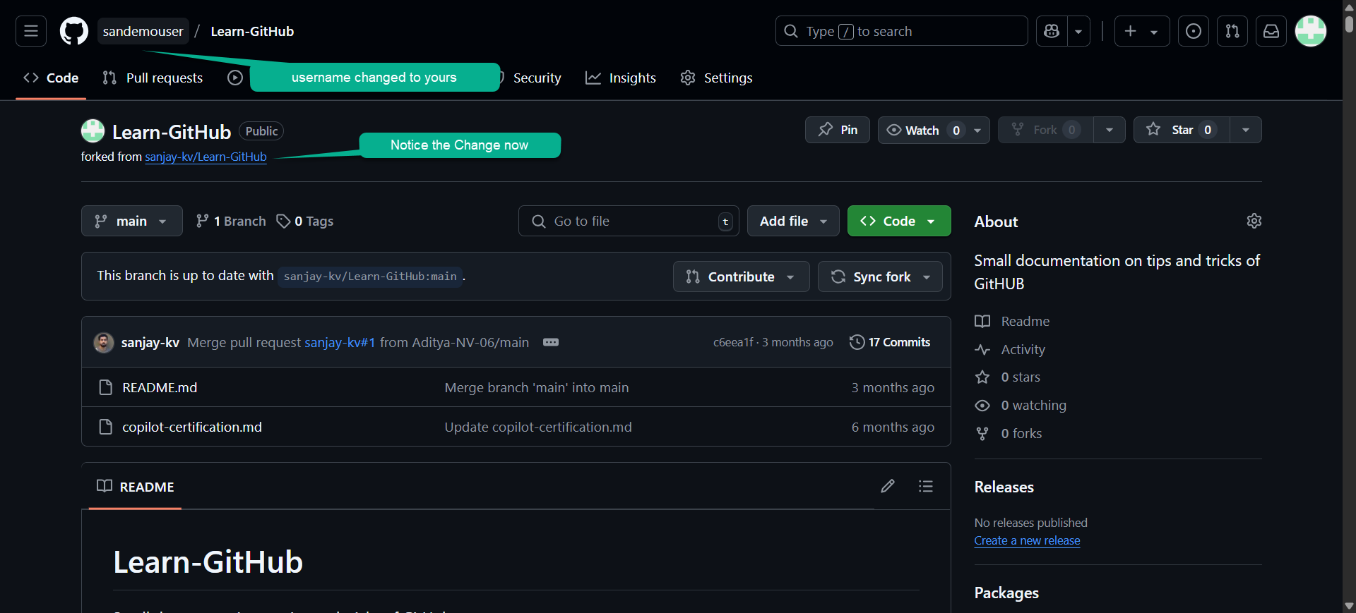 GitHub